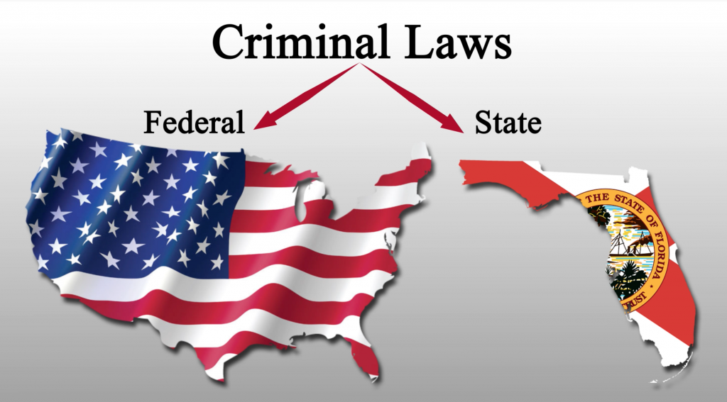 Federal Criminal Cases v. Florida Criminal Cases  The Hardy Law Firm