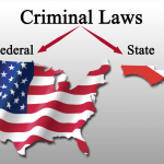 Federal Criminal Cases v. Florida Criminal Cases