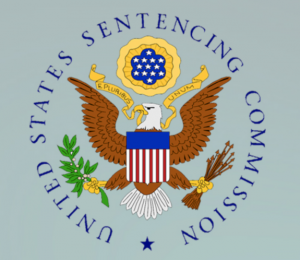 The requirements of the §5K1.1 are set out in the United States Sentencing Guidelines. 